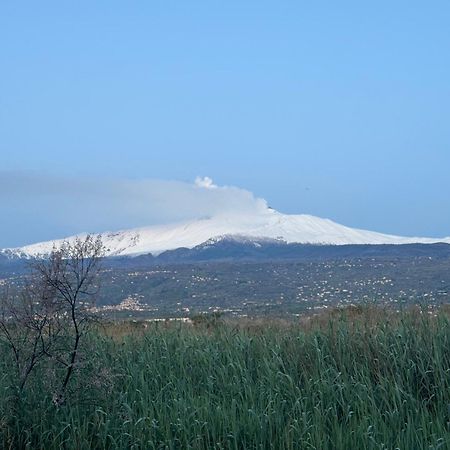 Villa Con Piscina Esclusiva Vista Etna Mascali Bagian luar foto