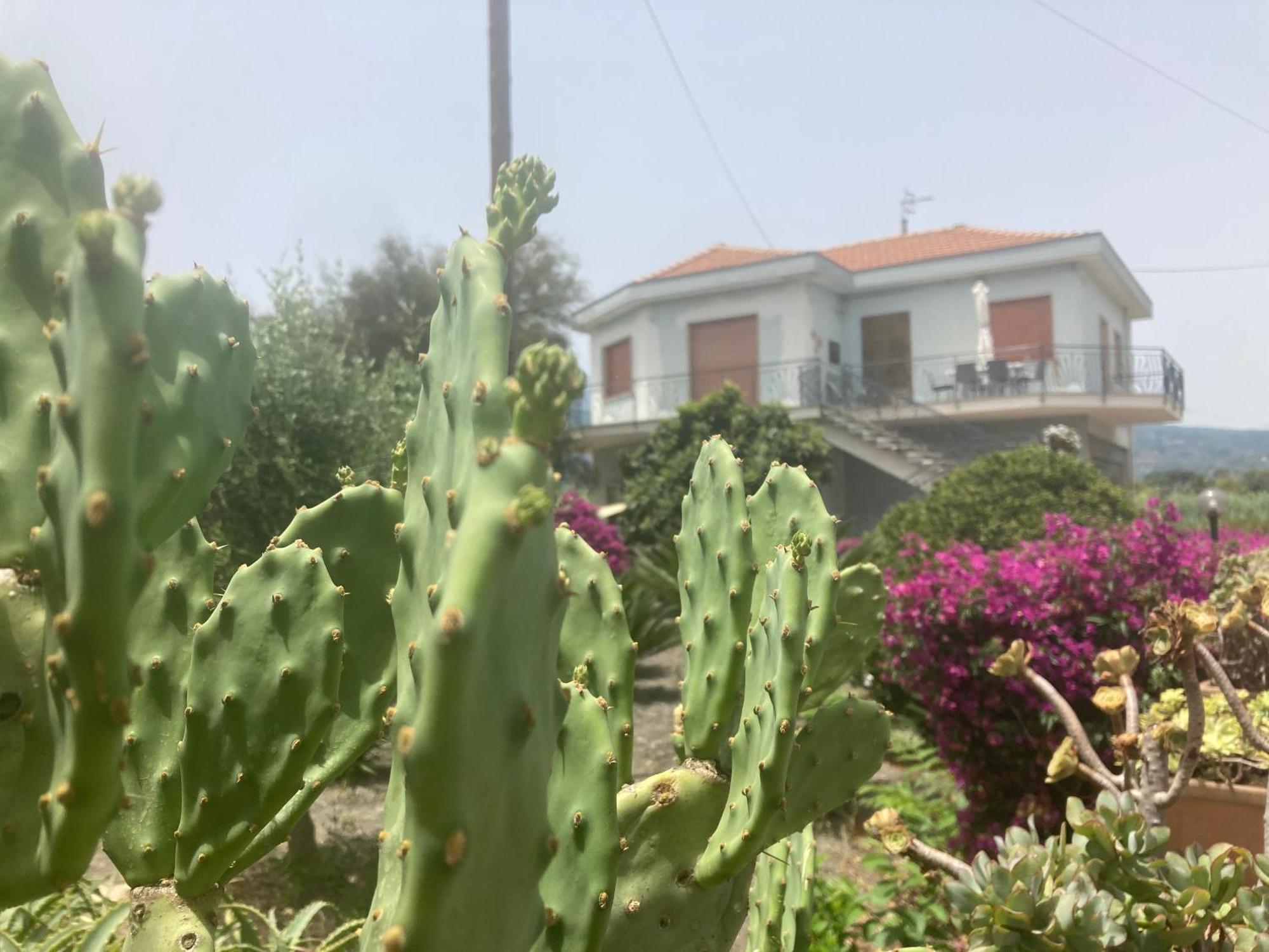 Villa Con Piscina Esclusiva Vista Etna Mascali Bagian luar foto