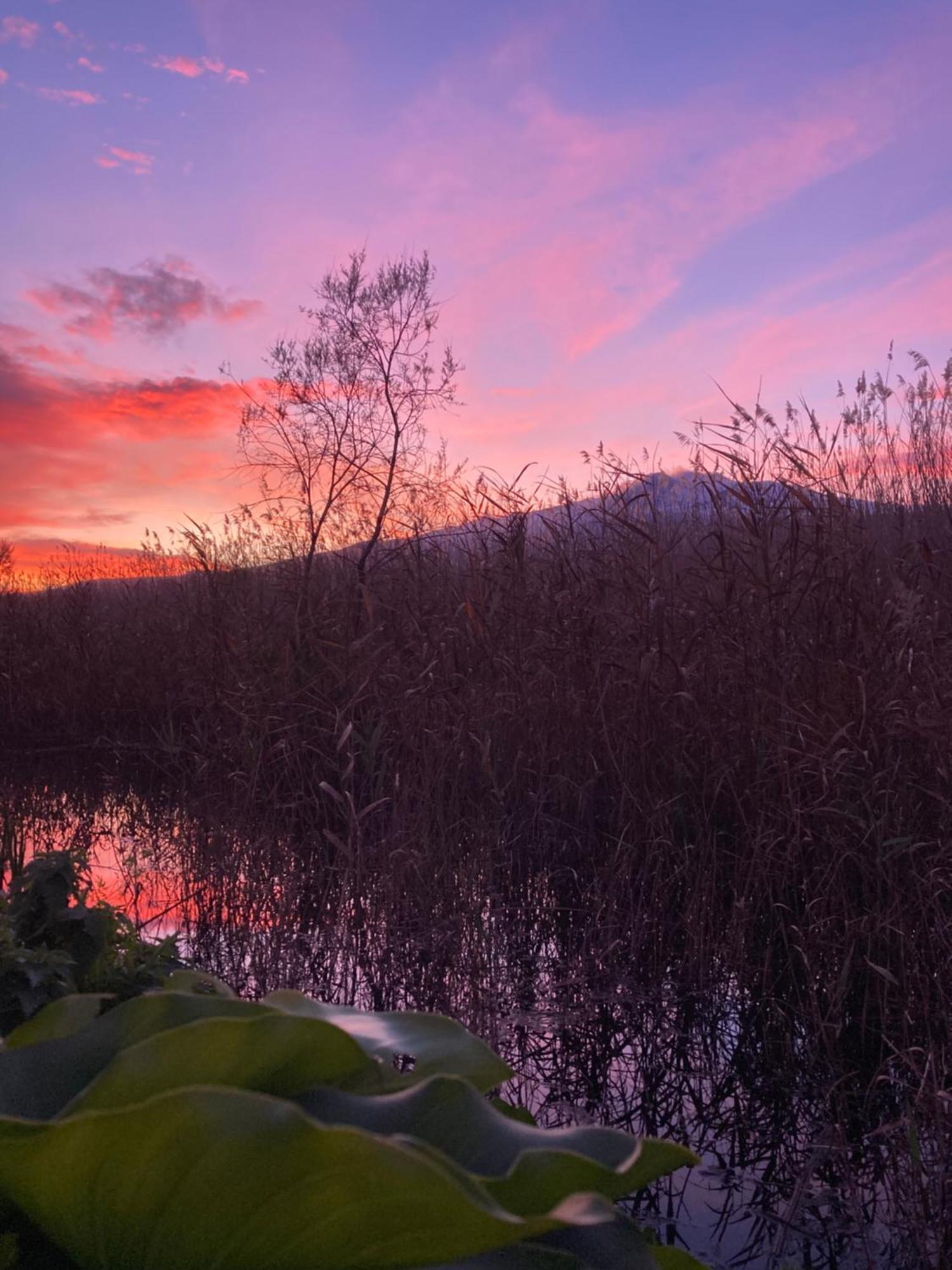 Villa Con Piscina Esclusiva Vista Etna Mascali Bagian luar foto