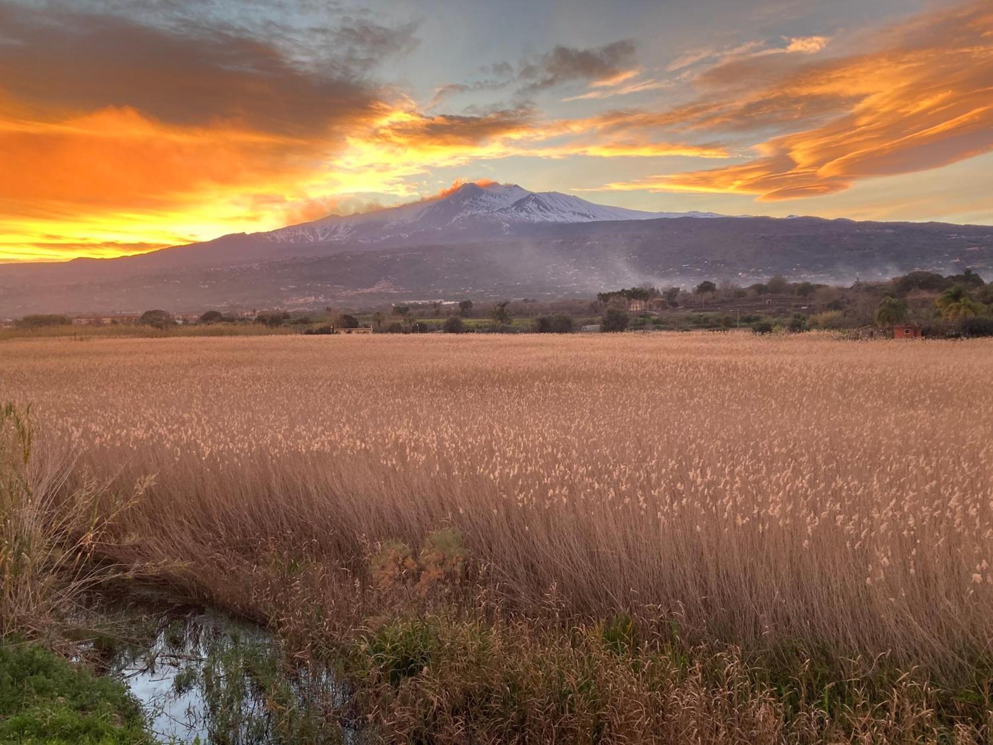 Villa Con Piscina Esclusiva Vista Etna Mascali Bagian luar foto