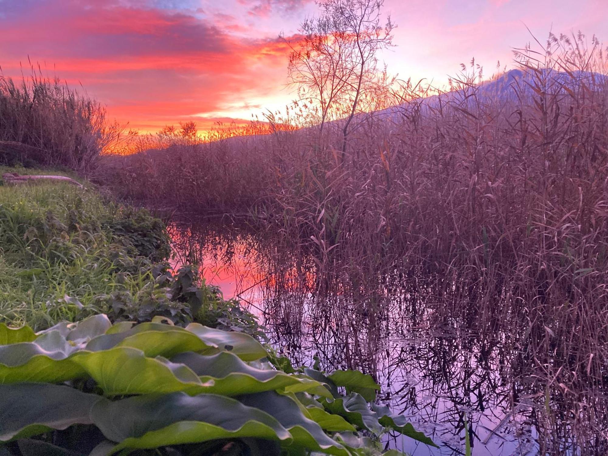 Villa Con Piscina Esclusiva Vista Etna Mascali Bagian luar foto
