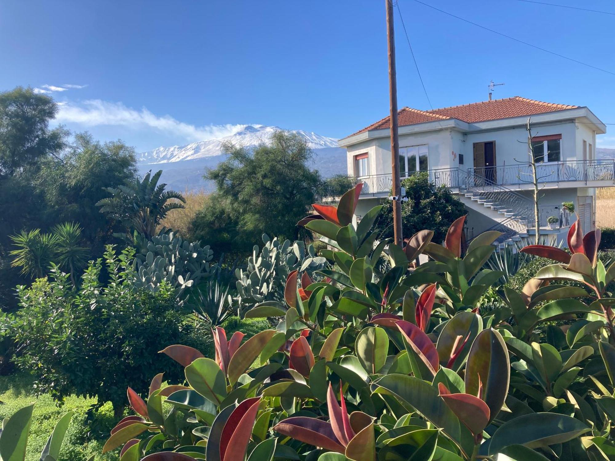 Villa Con Piscina Esclusiva Vista Etna Mascali Bagian luar foto