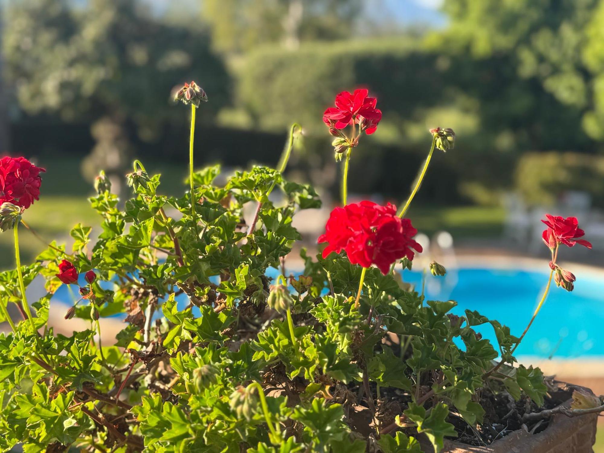 Villa Con Piscina Esclusiva Vista Etna Mascali Bagian luar foto